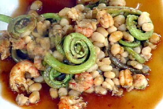 Fiddlehead with white bean and shrimp salad 