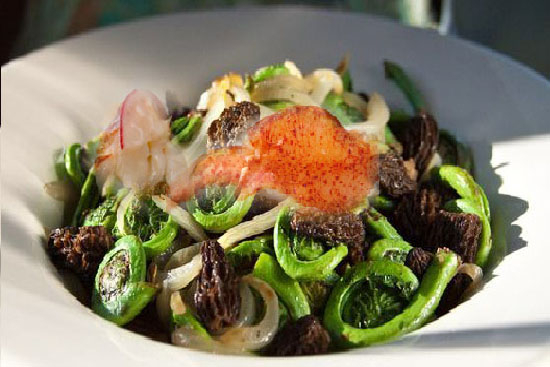 Fiddleheads with morels and lobster 