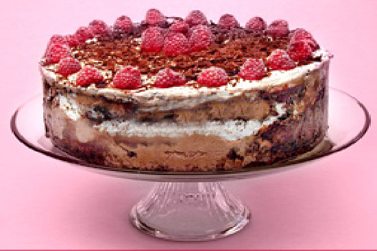 Chocolate raspberry ice-cream cake 