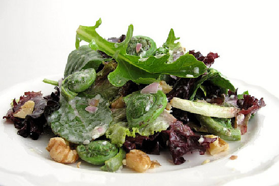 Fiddleheads and black olive salad 