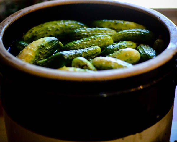Crock dill pickles - A recipe by Epicuriantime.com
